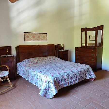 Casa Daria, Armonia Del Passato Nel Rispetto Della Natura Donoratico Exteriör bild