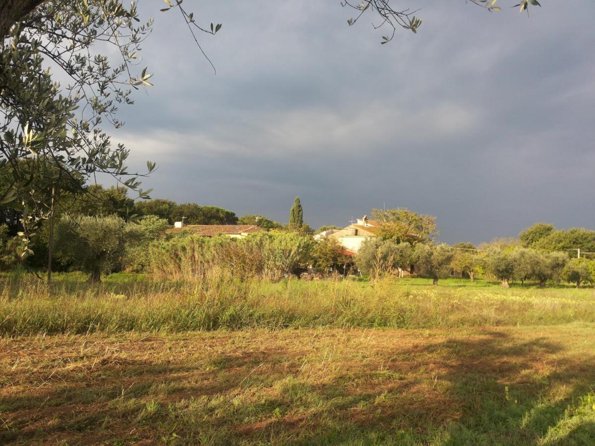 Casa Daria, Armonia Del Passato Nel Rispetto Della Natura Donoratico Exteriör bild