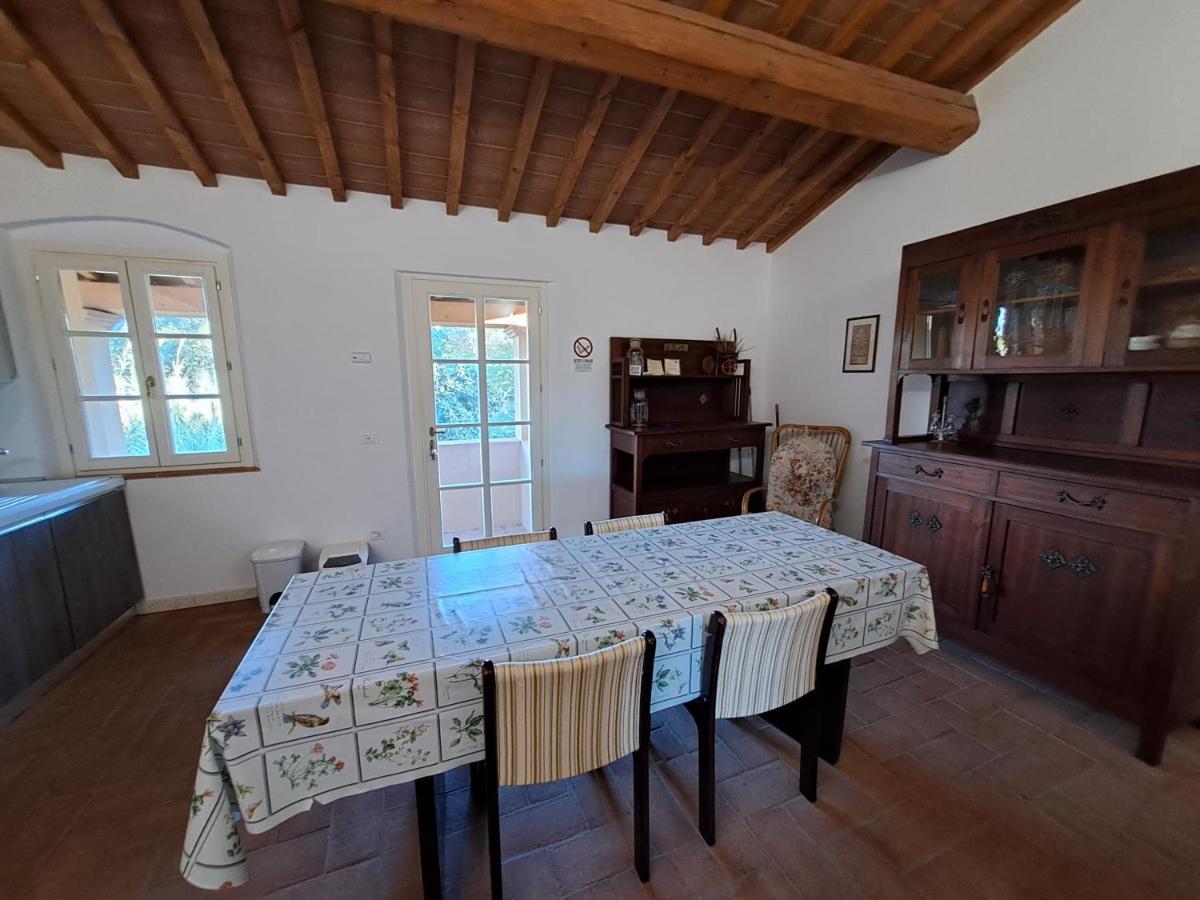 Casa Daria, Armonia Del Passato Nel Rispetto Della Natura Donoratico Exteriör bild