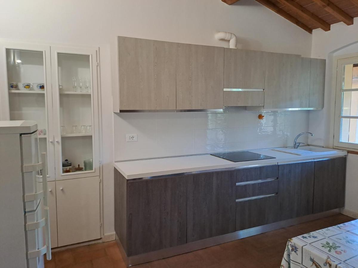 Casa Daria, Armonia Del Passato Nel Rispetto Della Natura Donoratico Exteriör bild
